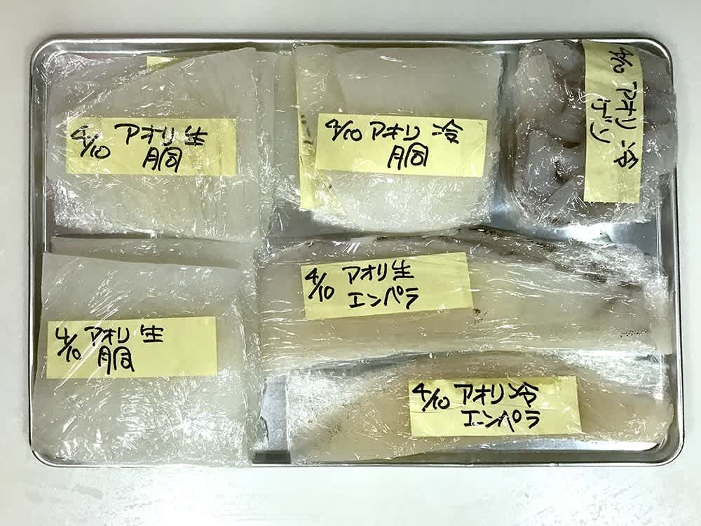 アオリイカ 居酒屋日記