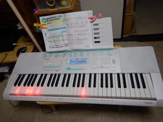 カシオ LK-228 購入 - 写真日記