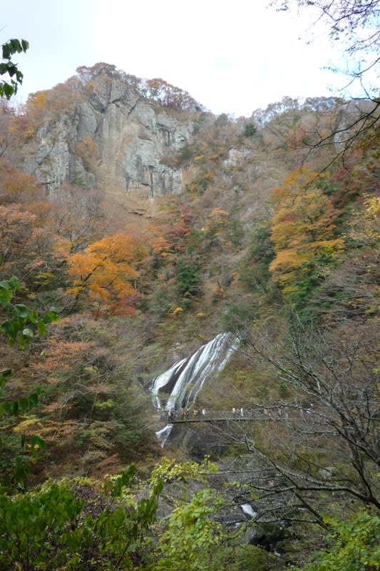 滝見台から見た滝と吊り橋