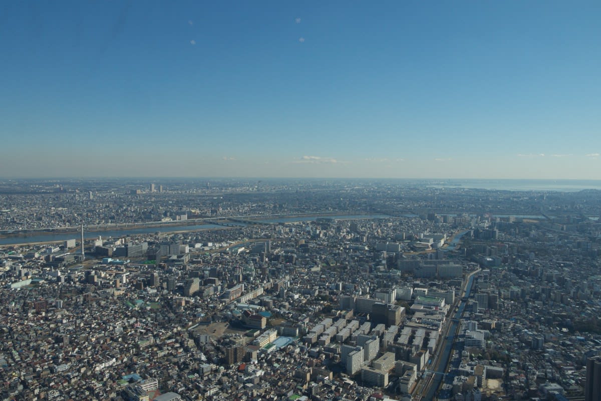 １月の東京スカイツリー フロア３５０から南東から南方向 新小岩駅 舞浜駅 緑には 東京しかない