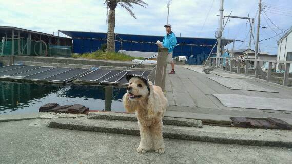 犬を連れて 釣り へ行こう I Love 壮祐 そうすけ 犬を連れて 釣り へ行こう I Love 壮祐 そうすけ