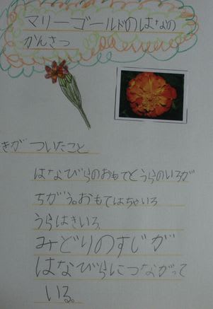 花を観察しよう つばさ 一年生の自由研究 その８ つばさ すばるママの日記