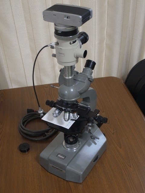 オリンパス単眼顕微鏡　３way　会社にて使用