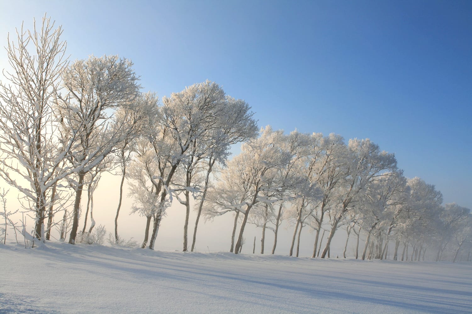雪景色2 1 北海道 日々是好写真 毎日の写真生活日記と紀行メモリー