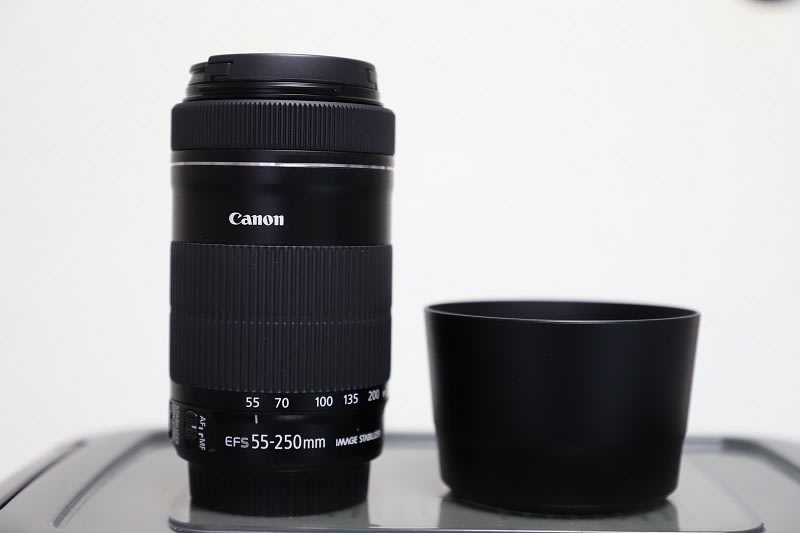 EOS Kiss Mの望遠レンズでEF-S55-250mm F4-5.6 IS STMを購入してみた