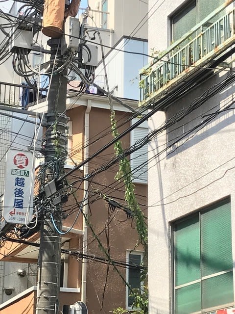 江東 区 停電