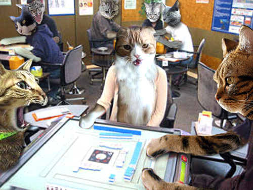 祝 猫入学式 猫にゃんにゃん 祝 猫入学式 猫にゃんにゃん