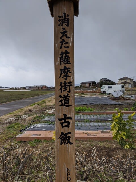 薩摩街道をゆく へんないきもの日記 薩摩街道をゆく へんないきもの日記