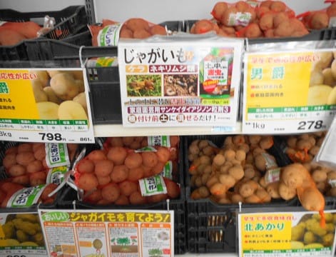 じゃがいもの 種いも Love