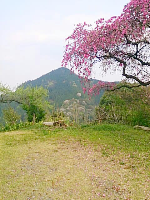 芥川龍之介 運命は その人の性格の中にある 犬がおるので