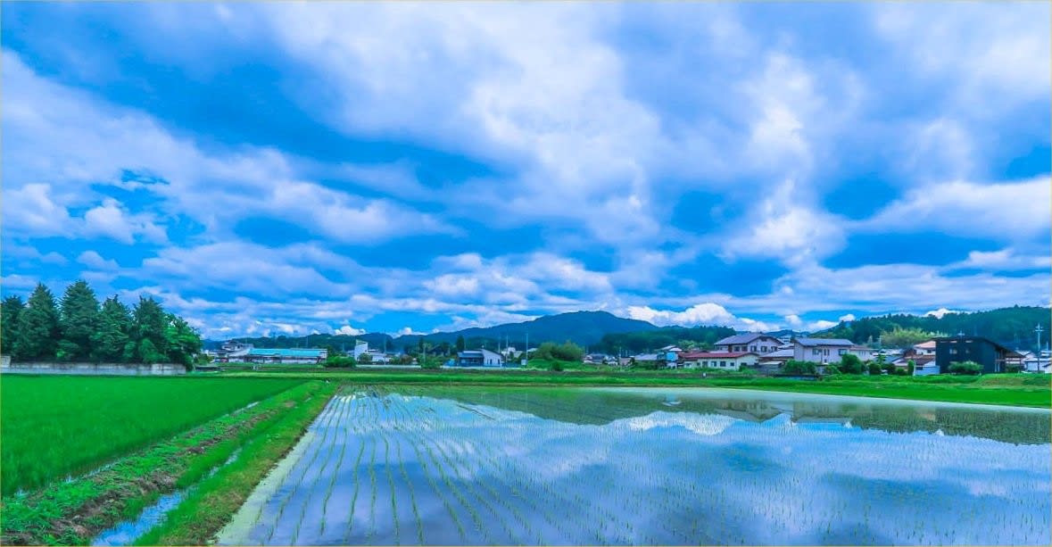 梅雨空あじさい 晴れ ときどき 自販機 第五巻 梅雨空あじさい 晴れ ときどき 自販機 第五巻