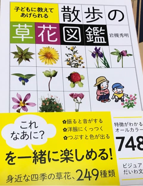 ぴったりの本 子供に教えてあげられる 散歩の草花図鑑 風杜宗里 タロット占い 京都