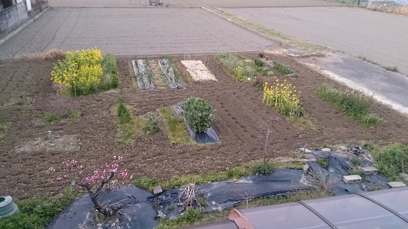家庭菜園 その１０３ 春の大仕事穴掘り 四季の庭 四季の空