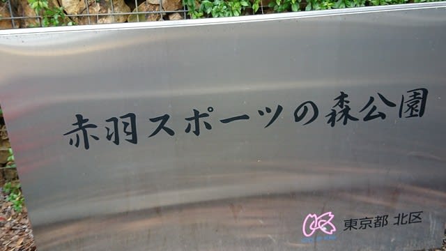 朝の散歩コース２ 赤羽スポーツの森公園 楽しんでこそ人生 ー たった一度の人生 ほんとうに生かさなかったら人間生まれてきた甲斐がないじゃないか 山本有三