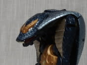 Photo_2686