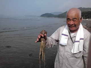 新舞子タコ釣り。（７月３１日）