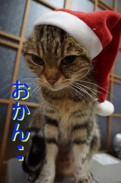 クリスマスイブ前夜祭 Anzu Hayato クリスマスイブ前夜祭 Anzu Hayato