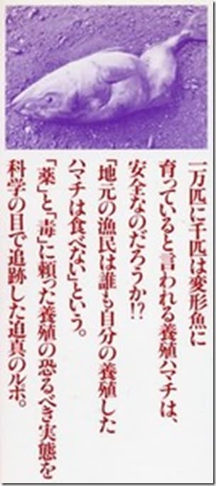 恐るべき養殖魚 奇形魚はなぜ発生するのか ナオヒロブログ