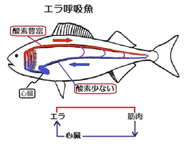 日記 のブログ記事一覧 もっと空気を