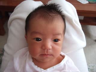 目が大きい 色即是空 Usa