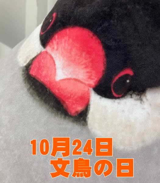 文鳥の日】10月24日は「手に幸せ」で文鳥の日！～フェリシモ