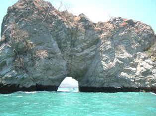 トルトゥーガ島 Isla Tortuga プラ ビダ コスタリカ