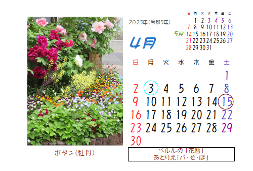 4月の花暦 Goo3