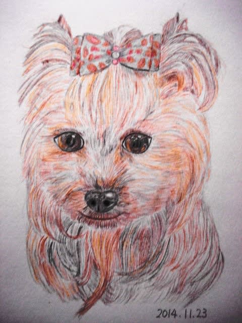 色鉛筆画３５ （犬） - 一期一会の想いを込めて・・・