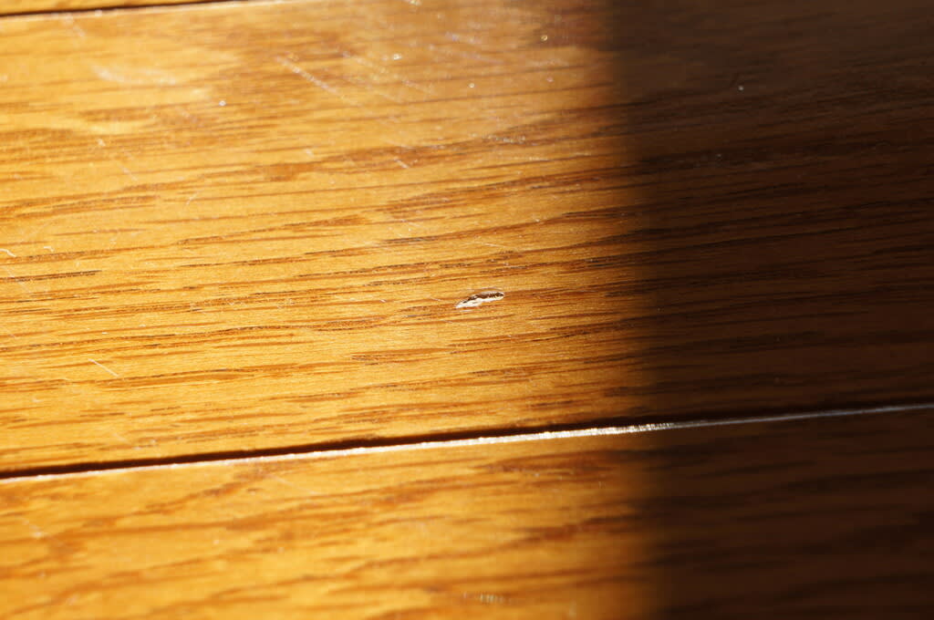 フローリング床補修 Nasu Star S Blog