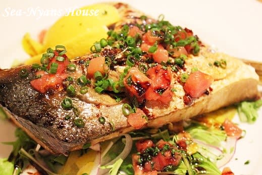 Restaurant Bar Payaso パジャッソ 冬の新作 今月のオススメ Cat Walk Restaurant Bar Payaso パジャッソ 冬の新作 今月のオススメ Cat Walk