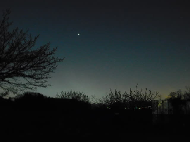 金星と冬の星座が綺麗でしたぁ Felizmundo S Website