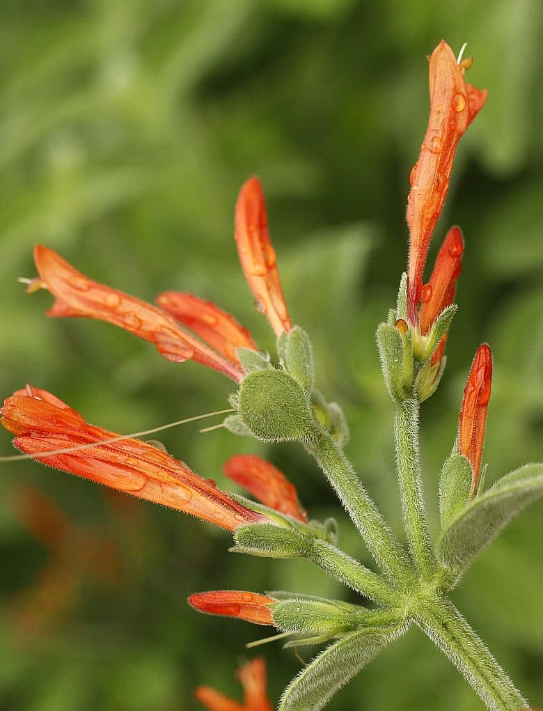 19年8月のブログ記事一覧 アブリル どこにでもあり どこにもない 19年8月のブログ記事一覧 アブリル どこにでもあり どこにもない