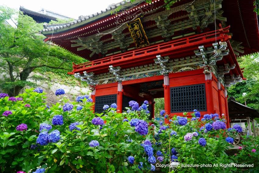 19雨引観音 雨引山楽法寺 あじさい祭 徒然なる写真日記