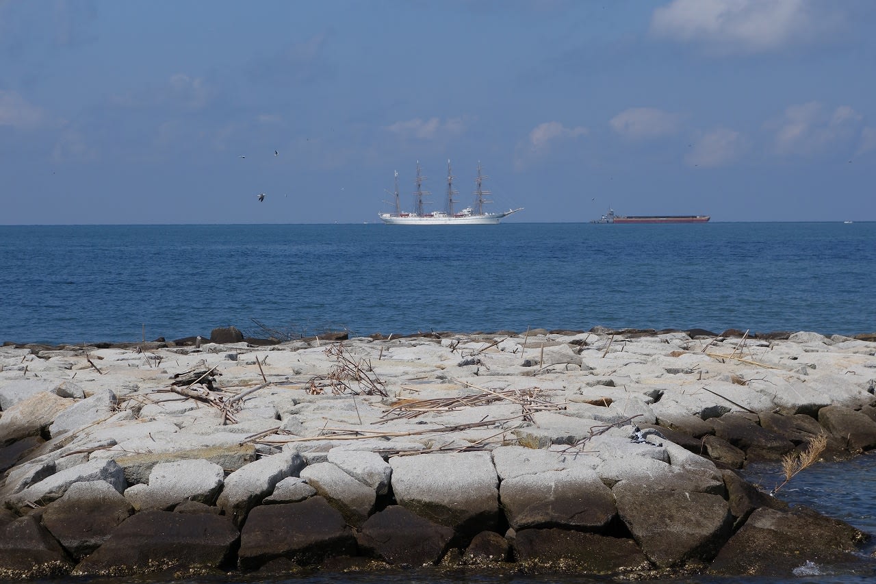 館山湾に停泊する帆船 日本丸 と館山湾の船舶 ウォーキング三昧 In 滋賀