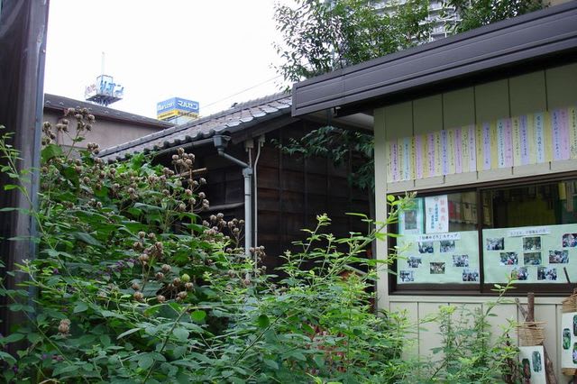 伊予松山歴史散策 のブログ記事一覧 22ページ目 ｅｅｋの紀行 春夏秋冬