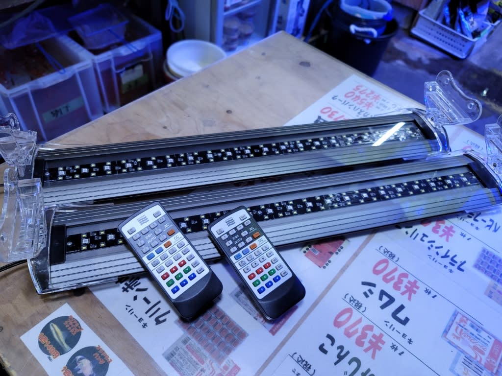 定期入れの 新品 コトブキ Ray Max 600 その他 Aliuminium Lt
