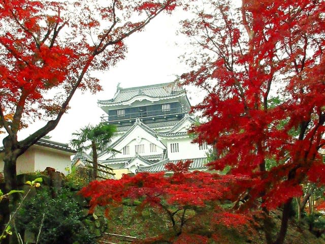 見頃だった 岡崎公園の紅葉 岡崎城 永和の 花ある記 歩