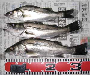 H210423 H210423