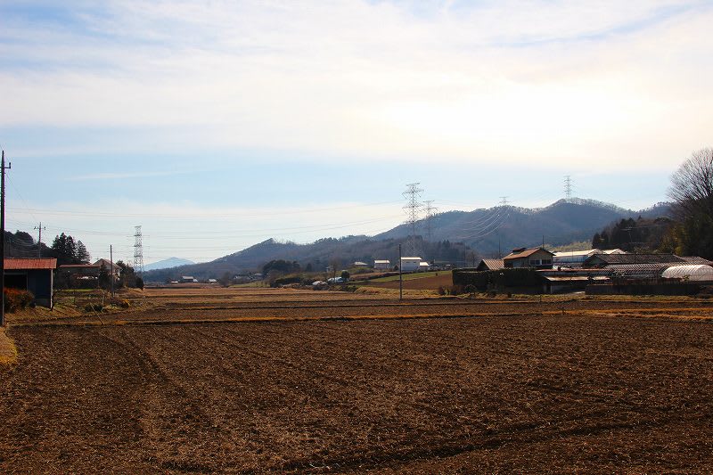 益子町 山本 徳ケ池桜公園 25.2.5 栃木の木々 益子町 山本 徳ケ池桜公園 25.2.5 栃木の木々
