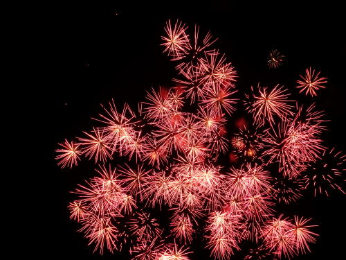 ２０１５年諏訪湖祭湖上花火大会で見た花火（7）　千輪系