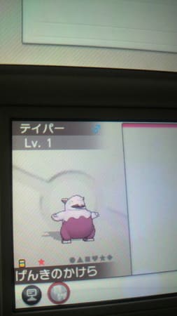いろちがい スリープ スリーパー やま うみ
