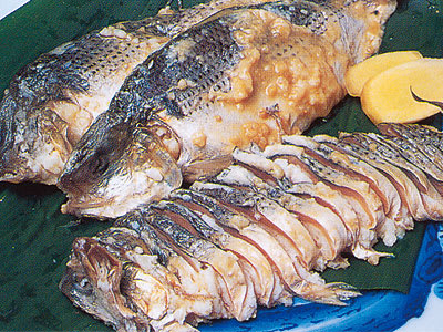 コノシロ コハダ 第5章 漁師料理 世の中のうまい話