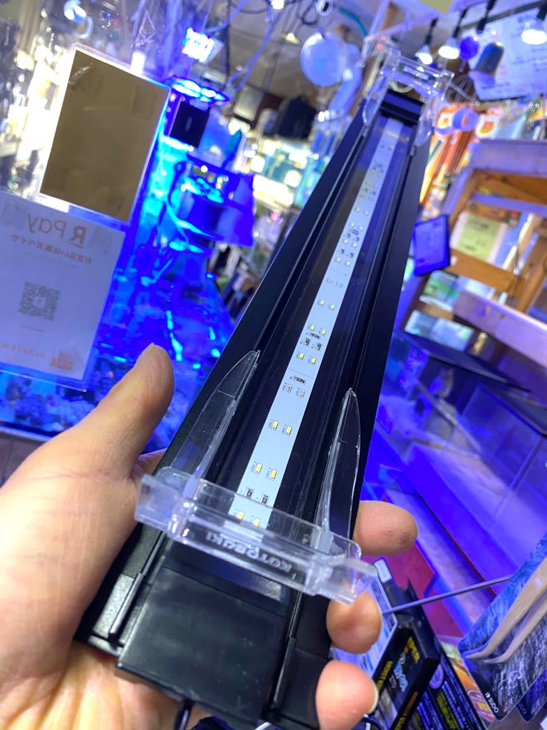 激安特価 新品 未使用 在庫処分 コトブキ 水槽 フラットled Ss600 シルバー 魚用品 水草 Ouipay Ca Ouipay Ca 激安特価 新品 未使用 在庫処分 コトブキ 水槽 フラットled Ss600 シルバー 魚用品 水草 Ouipay Ca Ouipay Ca