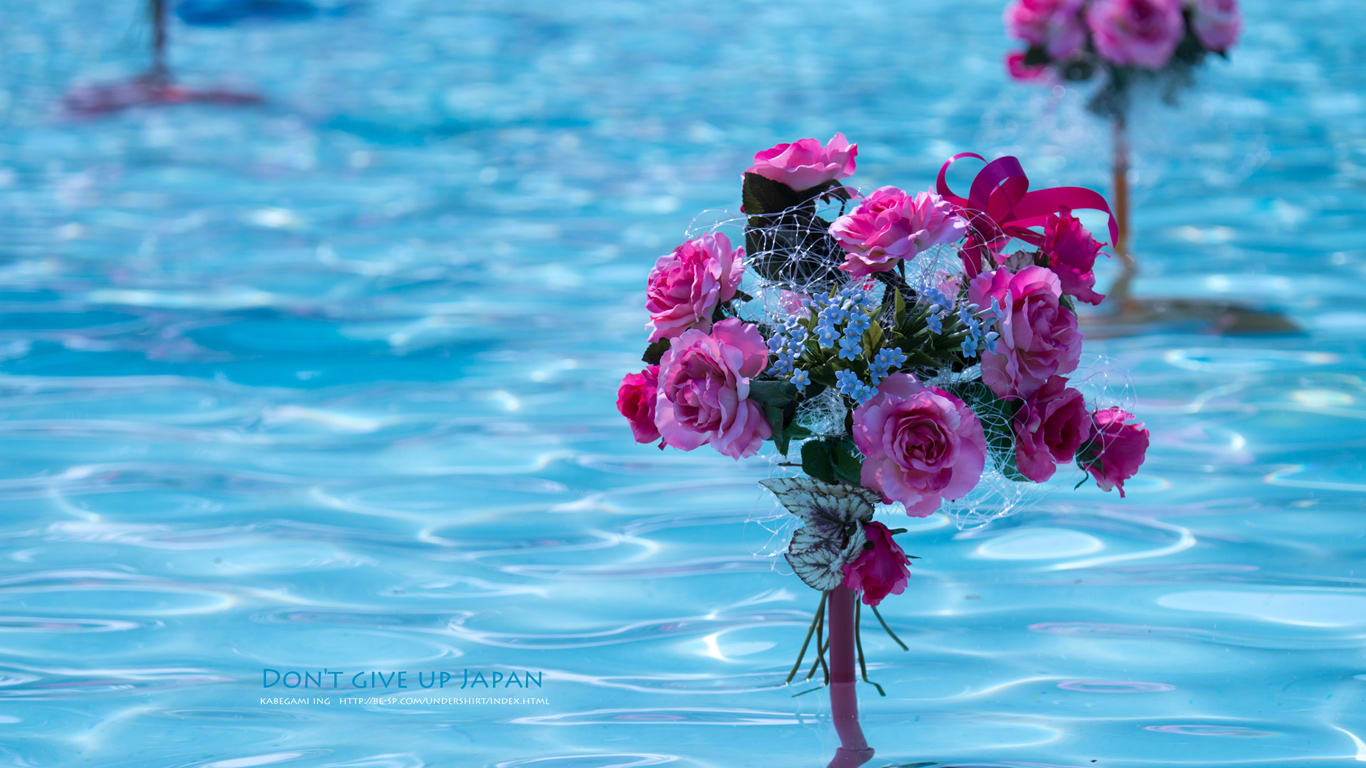 薔薇 壁紙ing管理人の写真ブログ