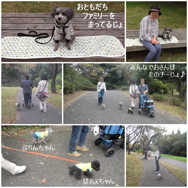 みんなでお散歩楽チーじょ!