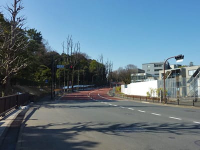 鮫河橋2 神田川 まる歩き しちゃいます 鮫河橋2 神田川 まる歩き しちゃいます