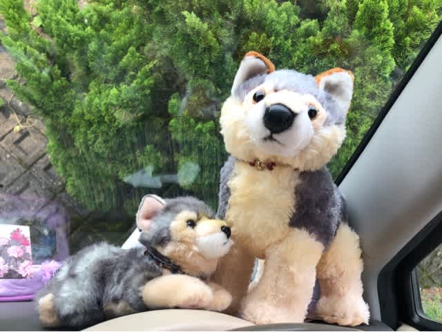 三峯神社 御眷属拝借一人旅 鈴木ミチの ベコぶろ