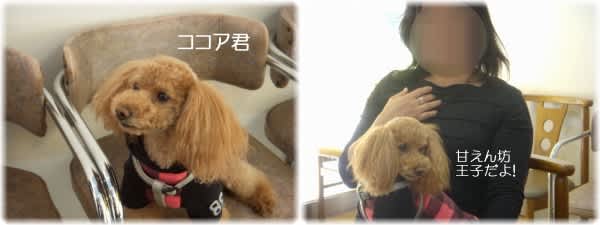 わーい♪今日も楽しいね♪