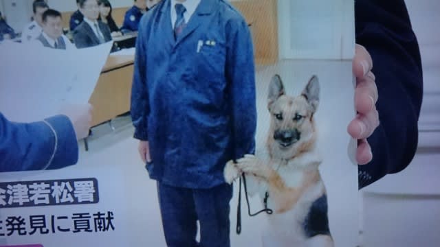 よその犬 のブログ記事一覧 お散歩がてら よその犬 のブログ記事一覧 お散歩がてら