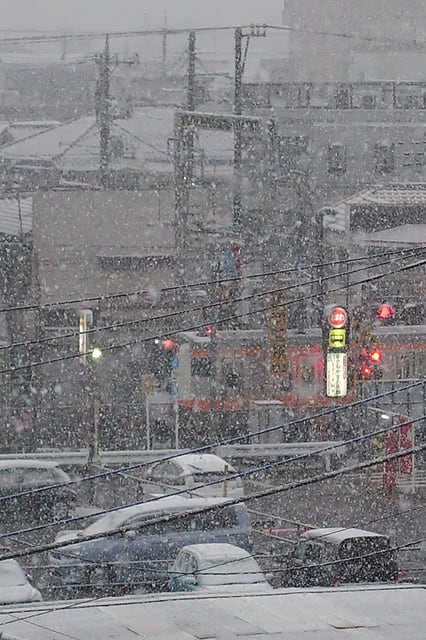 東京初雪20161124.jpg
